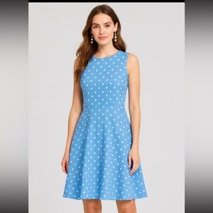 Draper James Blue & White Polka Dot A-Line Dress – Women’s 8